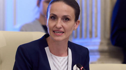 Bucharest, Romania. 23rd Jun, 2025: Oana Toiu, proposed Minister of Foreign Affairs, is heard by the specialized committees of the Romanian Parliament. Credit: Lucian Alecu/Alamy Live News