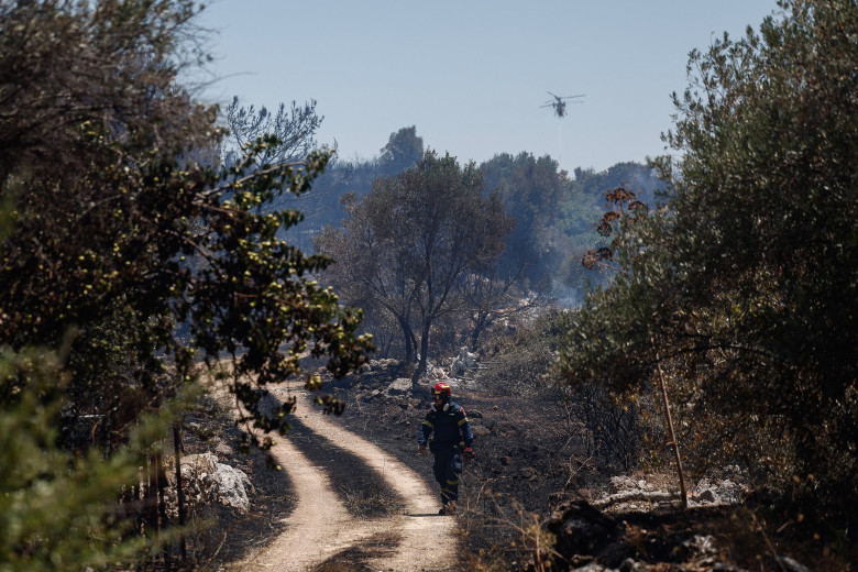 Incendii de vegetație în Chios/ Profimedia