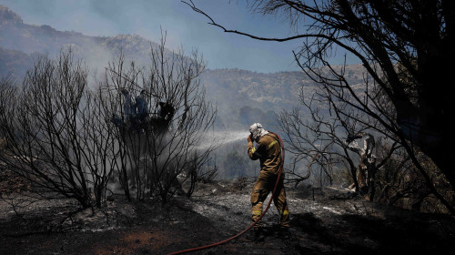 Incendii de vegetație în Chios/ Profimedia