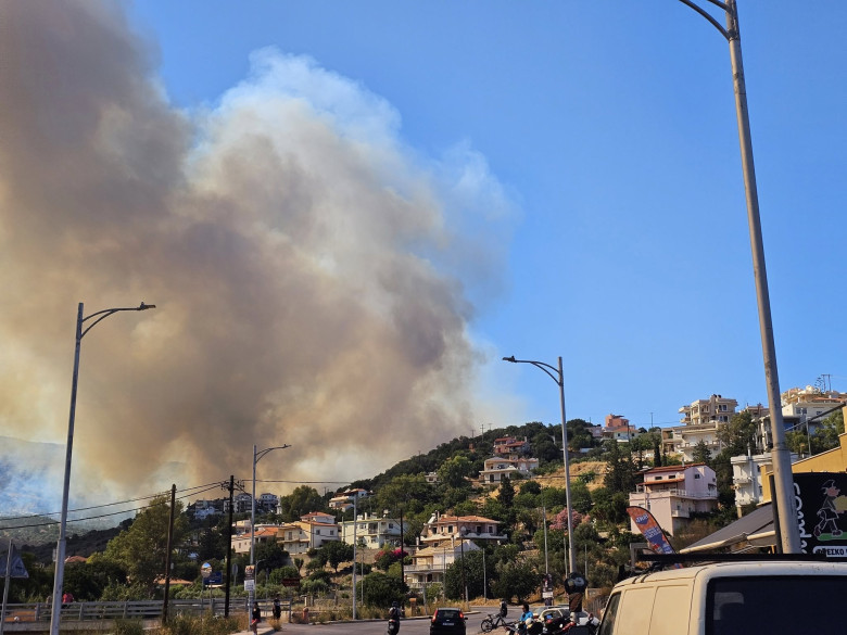 Incendii de vegetație în Chios/ Profimedia