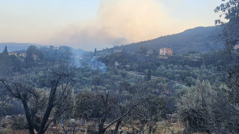 Incendii de vegetație în Chios/ Profimedia