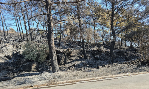 Huge swathe of holiday island turned to ashes by ‘intentional’ wildfires