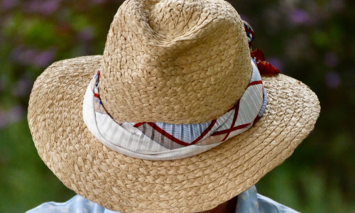 canicula, val de caldura, vara, vremea, meteo