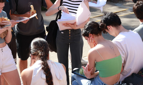 elevi, examen