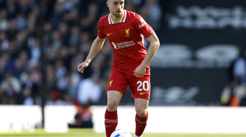 Fulham FC v Liverpool FC - Premier League