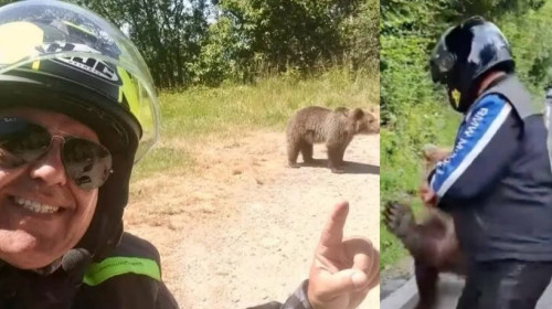 Italianul ucis de o ursoaică pe Transfăgărăşan postase, cu o zi înaintea atacului, fotografii cu urşi pe marginea drumului/ Foto: News.ro