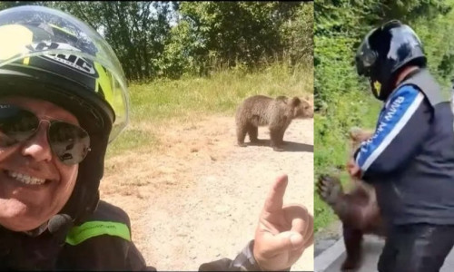 Italianul ucis de o ursoaică pe Transfăgărăşan postase, cu o zi înaintea atacului, fotografii cu urşi pe marginea drumului/ Foto: News.ro