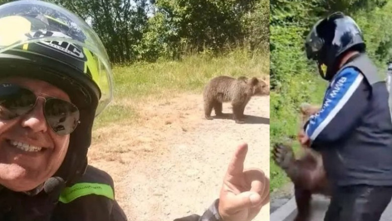 Italianul ucis de o ursoaică pe Transfăgărăşan postase, cu o zi înaintea atacului, fotografii cu urşi pe marginea drumului/ Foto: News.ro