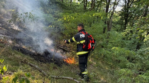 Incendiu în Parcul Naţional Munţii Rodnei/ Foto: News.ro
