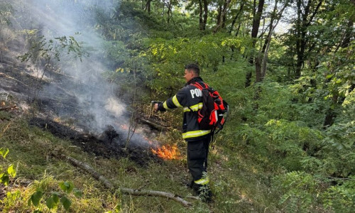 Incendiu în Parcul Naţional Munţii Rodnei/ Foto: News.ro