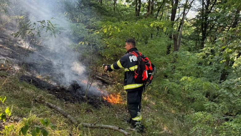Incendiu în Parcul Naţional Munţii Rodnei/ Foto: News.ro