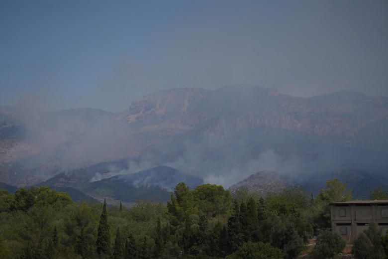 Incendiu de vegetație în Catalonia/ Profimedia