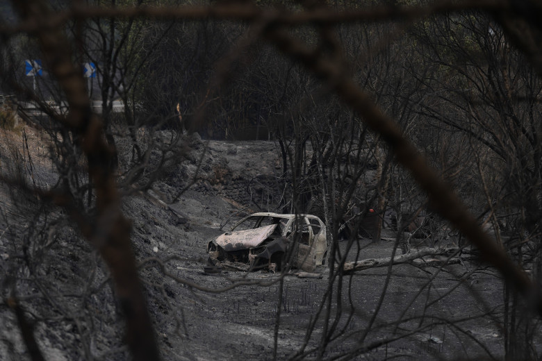 Incendiu de vegetație în Catalonia/ Profimedia