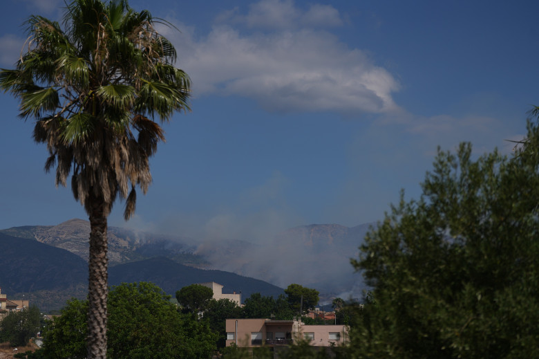 Incendiu de vegetație în Catalonia/ Profimedia