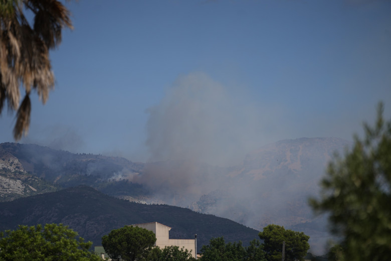 Incendiu de vegetație în Catalonia/ Profimedia