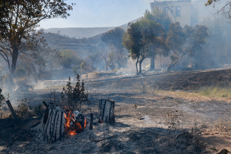 Incendiu de vegetație lângă Marsilia/ Profimedia