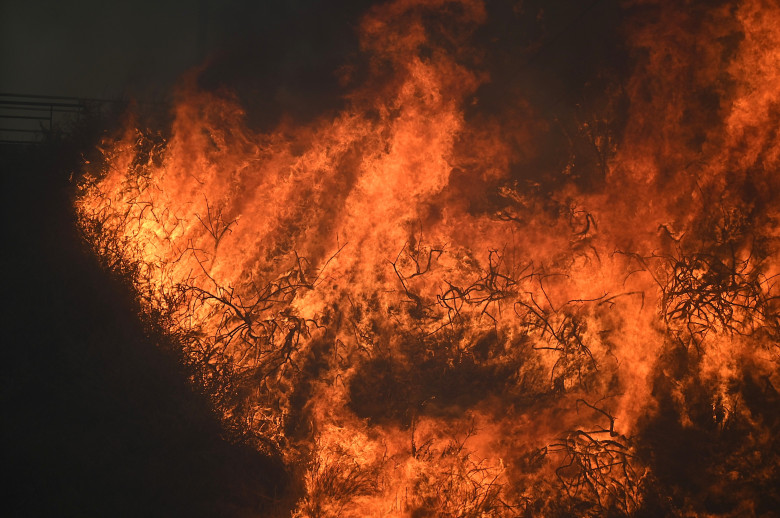 Incendiu de vegetație lângă Marsilia/ Profimedia