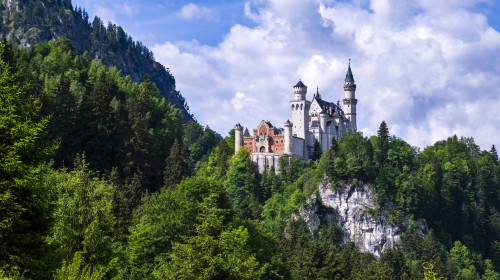 Castle Neuschwanstein, located on top of a rock, surrounded by deep forrest. Hohenschwangau Bavaria Germany FB_2024_2690