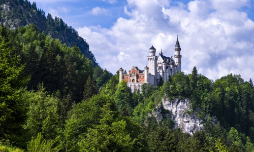 Castle Neuschwanstein, located on top of a rock, surrounded by deep forrest. Hohenschwangau Bavaria Germany FB_2024_2690