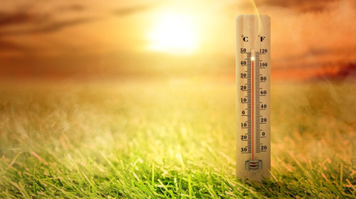 Thermometer with high temperature on the meadow with glowing sun background. Heatwave concept