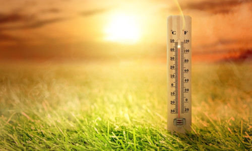 Thermometer with high temperature on the meadow with glowing sun background. Heatwave concept