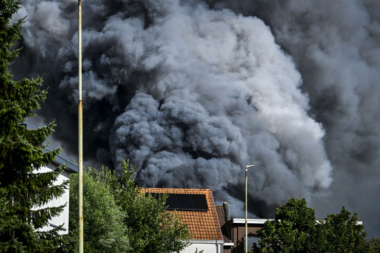 Incendiu de proporții la Tomorrowland/ Profimedia