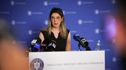 diana buzoianu, ministrul mediului