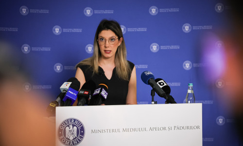 diana buzoianu, ministrul mediului