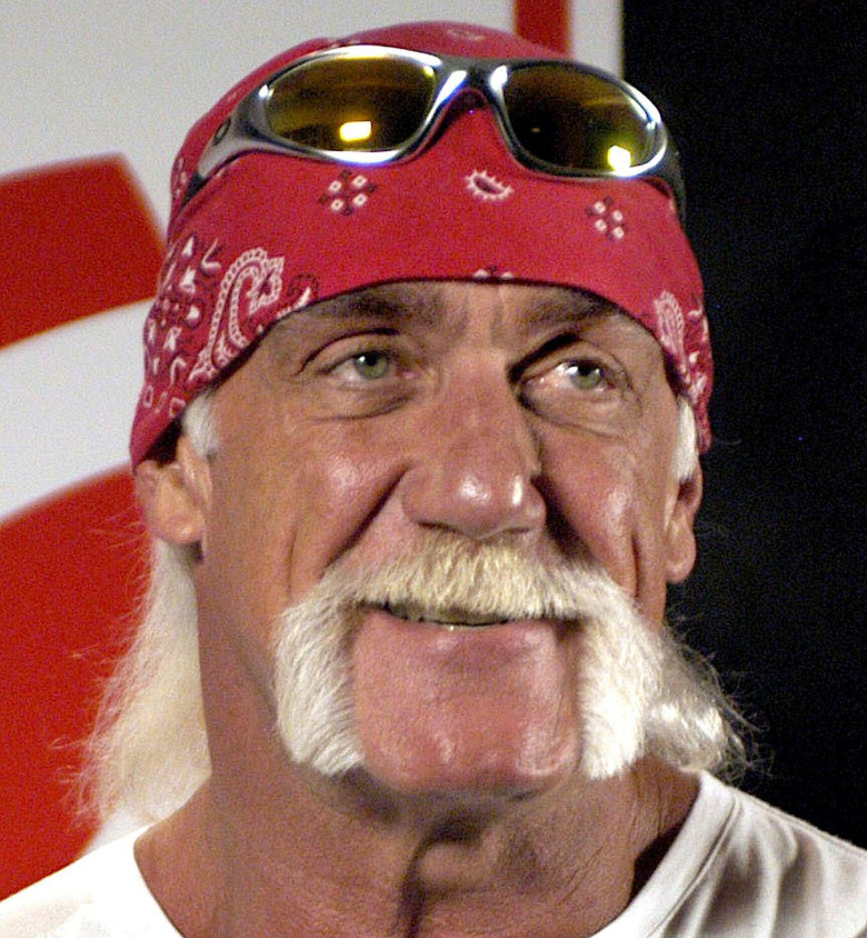 Hulk Hogan cropped.