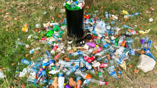 Sticle de plastic/ Unsplash