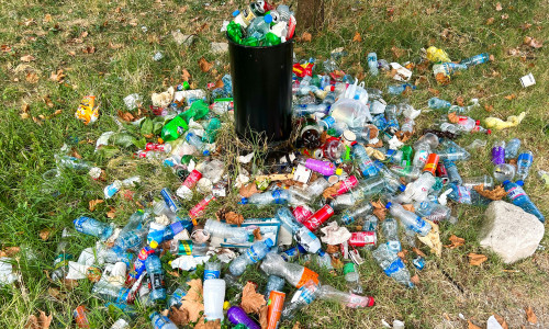 Sticle de plastic/ Unsplash
