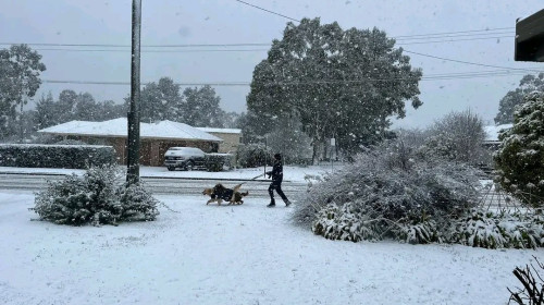 Mai multe oraşe australiene au fost acoperite cu un strat de zăpadă/ Foto: X