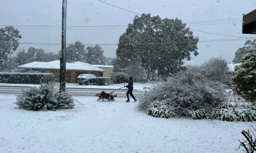 Mai multe oraşe australiene au fost acoperite cu un strat de zăpadă/ Foto: X