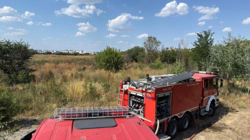Incendiu de vegetaţie uscată în apropiere de Delta Văcăreşti/ Foto: News.ro