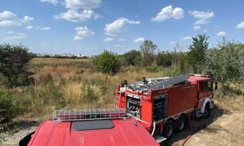 Incendiu de vegetaţie uscată în apropiere de Delta Văcăreşti/ Foto: News.ro