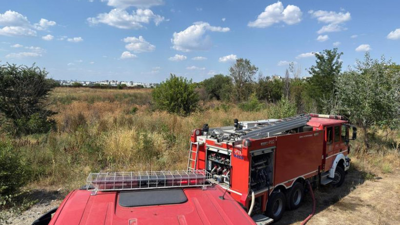 Incendiu de vegetaţie uscată în apropiere de Delta Văcăreşti/ Foto: News.ro