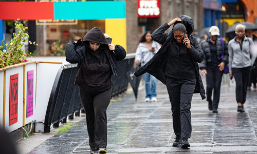 furtuna floris in scotia