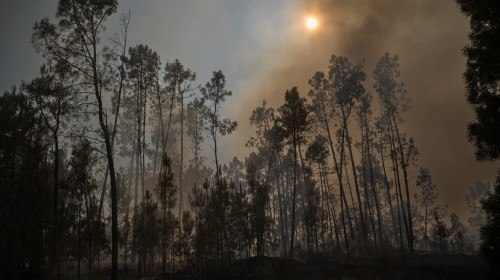 Fire In Parada Monte, Portugal