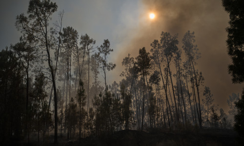 Fire In Parada Monte, Portugal