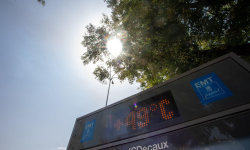 Vara 2025, marcată de fenomene climatice extreme/ Profimedia