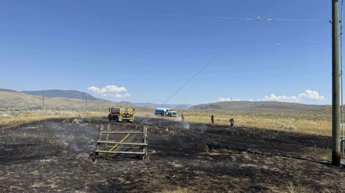 Un pește căzut pe firele de înaltă tensiune a declanșat un incendiu în Canada/ Foto: X