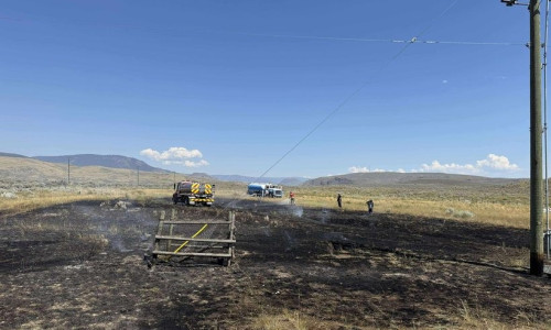 Un pește căzut pe firele de înaltă tensiune a declanșat un incendiu în Canada/ Foto: X