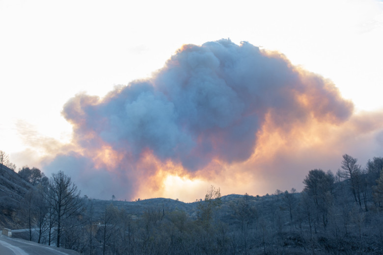 Cel mai amplu incendiu din Franţa din ultima jumătate de secol/ Profimedia