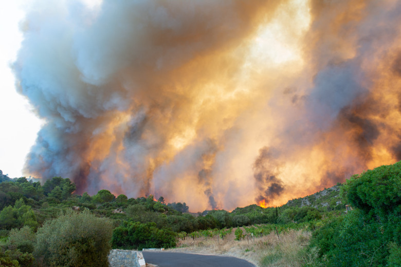 Cel mai amplu incendiu din Franţa din ultima jumătate de secol/ Profimedia