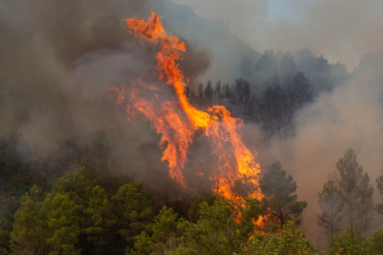 Cel mai amplu incendiu din Franţa din ultima jumătate de secol/ Profimedia