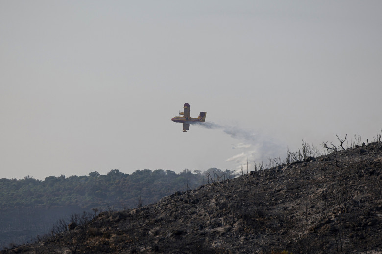 Cel mai amplu incendiu din Franţa din ultima jumătate de secol/ Profimedia