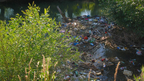 danger environment enviroment tree hazardous industry science wood summer summerly radio silence quietness silence stream dirt