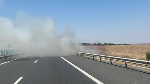 Autostrada Soarelui, închisă la kilometrul 169 din cauza unui incendiu de vegetaţie/ Foto: News.ro