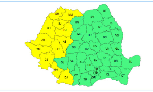 Cod galben caniculă