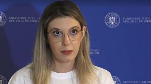 diana buzoianu